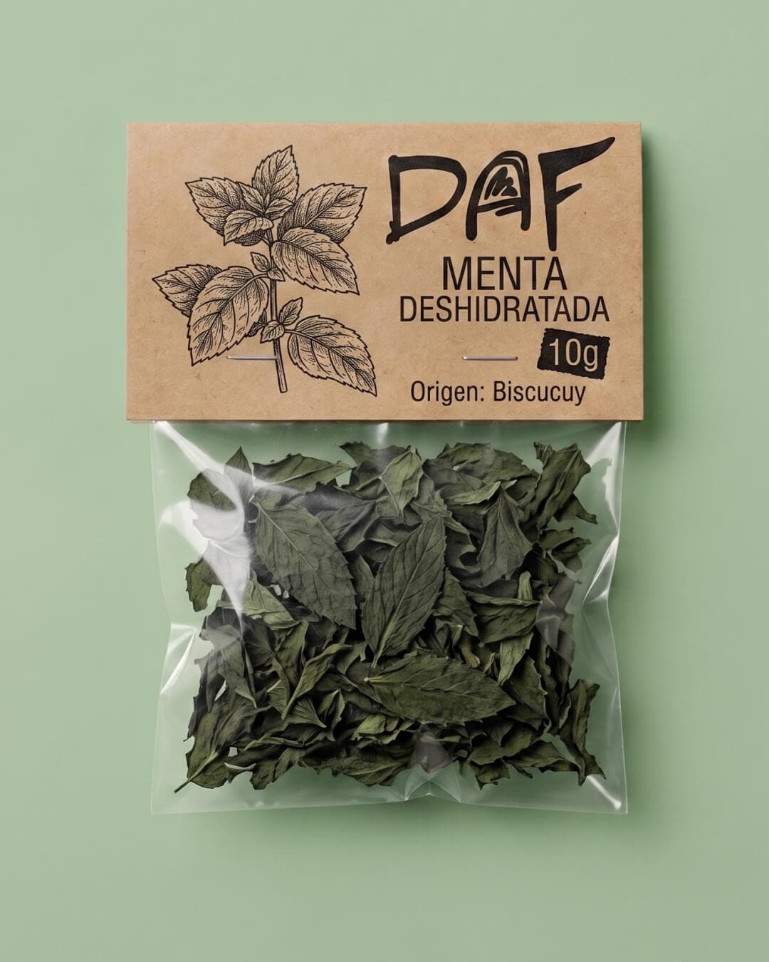 Menta